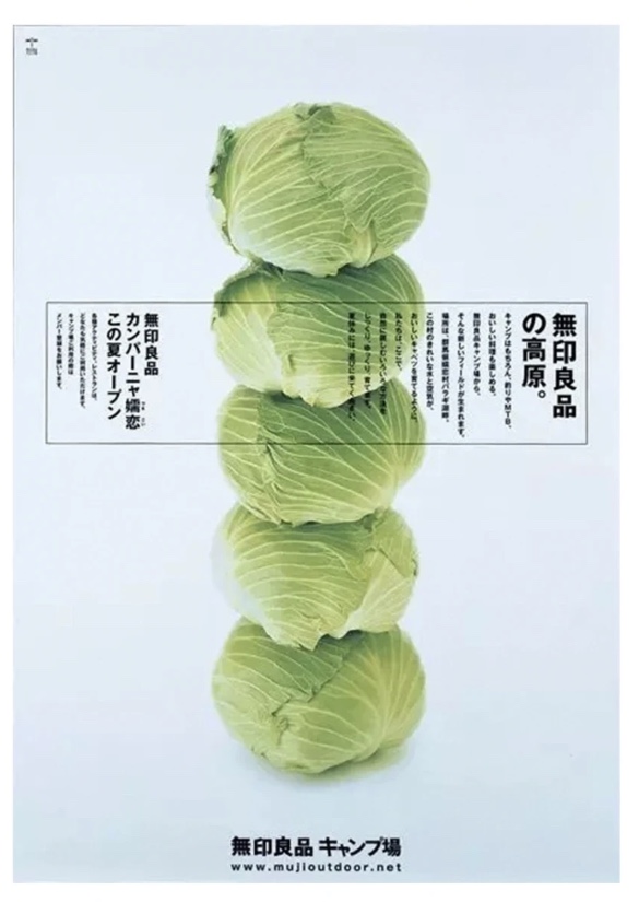 包菜海报设计分析